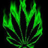 shwayzee_wade